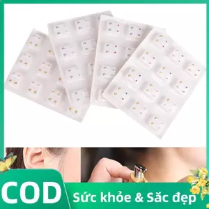Trong Kho 24Pcs Bông Tai Y Tế Piercing Công Cụ Tai Stud Thép Phẫu Thuật Bông Tai Phụ Nữ Cá Tuyết