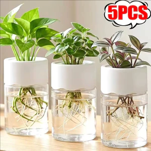 1 / 3 / 5 Chiếc - Chậu Hoa Giả Thủy Tinh Cây Xanh Nồi Mini Để Bàn Trong Suốt Bình Thủy Canh Cây Trồng Trang Trí Sáng Tạo