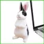 Đồ chơi thỏ Phục sinh Đồ chơi thú nhồi bông thực tế Thỏ Phục sinh sang trọng Người bạn đi ngủ Quà tặng Phục sinh sang trọng cho trẻ em saixit2vn