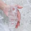 Exhila Soft TPR Rỗng Ốp Lưng DIY Bóp Đồ Chơi Làm Và Giảm Lo Âu Trò Chơi Cảm Giác