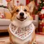 Thú Cưng Phong Cách Mới Nước Bọt Khăn Nhỏ Vừa Lớn Chó Bên Chó Shepherd Golden Retriever Alaska Chó Dễ Thương