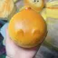 Đồ chơi bánh mì Squishy FUHUIOT, Bóng Fidget giác quan hoạt hình hình hình mèo, Kẹp trẻ em Tay nâng chậm Thư giãn Đồ chơi phục hồi chậm Quà tặng sinh nhật