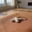 Tweeduj DIY Phụ Kiện Trang Sức Gốm Sứ Độc Đáo Peace Dove Hạt Cho Sáng Tạo Mặt Dây Chuyền Làm Dự Án VN