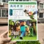 Hoạt Hình Hàng Hóa 2026 Minecraft Bạn Cùng Lớp Có Thể Tháo Rời 68 Rời Sách Lá Rời Học Sinh Tiểu Học Album Tốt Nghiệp 5.30