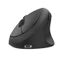 Chuột chế độ kép Bluetooth không dây Chuột quang điện dọc tiện dụng dọc tắt tiếng