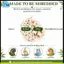 12 Chiếc Đồ Chơi Chim Sola Balls 2.36 '', Đồ Chơi Tìm Thức Ăn Cho Chim, Bóng Sola Atta, Vẹt Nhai Đồ Chơi Nghiền Móng Vuốt
