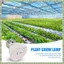 E27 80 Đèn Led trồng cây Đèn Led Bóng đèn tăng trưởng toàn phổ Đèn trồng cây Phyto cho cây thủy canh trong nhà