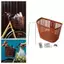 Giỏ xe đạp Jfory Lưới kim loại PP Xe đạp Giá đỡ hành lý phía trước Giỏ lưu trữ Giá đỡ lắp ráp dễ dàng Lắp đặt xe đạp gấp Thích hợp cho cưỡi ngựa ngoài trời