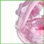 Phao Bể Bơi Trẻ Em Có Tựa Lưng Chống Tia UV Vòng Bơi Phao Bể Bơi Có Tán Cho Trẻ Em Đi Biển Hồ Nước Mùa Hè saixit2vn