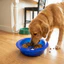 FUHUIOT Pet Ice Bowl, Làm Mát Xuống Giảm Nhiệt Cho Chó Bát Làm Mát, Uống Nước Đá Giữ Lạnh Lâu Dài Phun Nước Cho Thú Cưng Bát Uống Thời Tiết Nóng