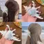 PNPIA- Ocean Conch Kẹp Tóc Cua Biển Vỏ Hàn Quốc Lớn Vuốt Tóc Kẹp Tóc Thời Trang Hairgrips Dành Cho Nữ Bé Gái Phụ Kiện Tóc Đuôi Ngựa