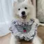 Thú Cưng Mùa Hè Nước Bọt Nhỏ Yếm Nhỏ Vừa Chó Lớn Phong Cách Dễ Thương Chó Nước Bọt Khăn Samo Vàng Retriever Khăn