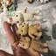 1 Đồ chơi mô hình động vật gia đình rừng Thỏ Gấu Chó Floed Shaggy Hình động vật Đồ chơi mô hình cho trẻ em tại nhà máy lỗi [mới]