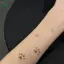 Springevenstar Động Vật Dấu Chân Mèo Paw Hình Xăm Tạm Thời 5 Cái Chống Thấm Nước Dễ Dàng Ứng Dụng Cho Trẻ Em Vui Nhộn Springevenstar