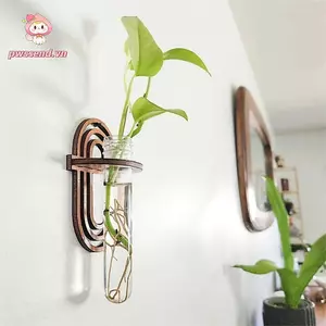 Bình treo tường PWSSEND, Hộp đựng chậu hoa trong suốt, Cây thủy canh tối giản Giá đỡ cây trồng hình nón để trang trí văn phòng tại nhà
