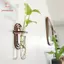 Bình treo tường PWSSEND, Hộp đựng chậu hoa trong suốt, Cây thủy canh tối giản Giá đỡ cây trồng hình nón để trang trí văn phòng tại nhà