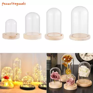FAVORITEGOODS Bụi Cây Cổ Tích Đèn Trong Suốt Bình Thủy Tinh Bình Hoa Hộp Bảo Quản Hoa