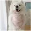 Thú Cưng Nước Bọt Khăn Cho Chó Khăn Trang Sức Tam Giác Khăn Trung Bình Chó Lớn Vàng Retriever Alasamo Có Thể Điều Chỉnh Yếm Miệng