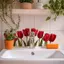{BUDDI} Chậu rửa phòng tắm tự dính có thể tháo rời Nghệ thuật gạch chống thấm nước để trang trí nội thất Cải tạo giọng {buddingenergy}