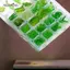 AqToCna 10-100 Chiếc Lá Acrylic Xanh Quyến Rũ Lá Hạt Mặt Dây Cho Diy Nelace Vòng Tay Bông Tai Trang Sức Làm Thủ Công Thủ Công AqToCna