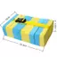 Springevenstar 1 Cái Có Thể Điều Chỉnh EVA Ban Bơi Ba Nổi Bọt Ban Phao Dây Thắt Lưng Người Lớn Trẻ Em Bơi Thiết Bị Huấn Luyện Nệm Không Khí Springevenstar