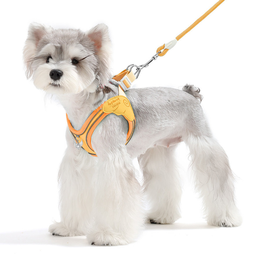 Dây Xích Chó Áo Phong Cách Dây Đeo Ngực Thoáng Khí Nhiều Màu Chó Nhỏ Mèo Dây Đeo Ngực Teddy Bichon Con Chó Con Mùa Hè Thú Cưng Dây Đeo Ngực Đi Chơi Chó Đi Bộ Dây Xích
