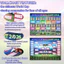 Cho World Cup Lịch Trình Poster 2026 Màu Sắc Hình Ảnh Họa Tiết Thể Thao Người Hâm Mộ Phụ Kiện
