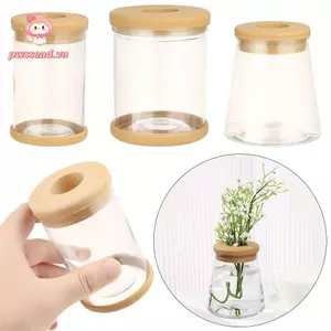 PWSEND Chậu hoa lan Cung cấp sân vườn Hộp đựng hoa xương rồng tròn trong nhà