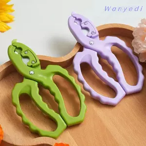Kéo cắt tỉa WANYEDI, Dụng cụ cắt tỉa gai Dụng cụ tẩy gai hoa, Thiết kế đa chức năng Lưỡi dao cắm hoa có thể thay thế Dụng cụ làm vườn