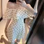 Mùa Hè Phong Cách Mới Phiên Bản Hàn Quốc Jumpsuit Nữ Tính Khí Jumpsuit Xù Voan Một Vai Polka Làm