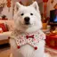 2026 Năm Mới Chó Dễ Thương Yếm Edge Shepherd Golden Retriever Alaska Nước Bọt Khăn Nhỏ Vừa Lớn Ngày Lễ Chó Phong Cách Mới