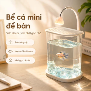 Bể Cá Mini Để Bàn Cao Cấp - Hệ Thống Lọc Tích Hợp, Dễ Dàng Thiết Lập & Bảo Dưỡng