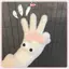 JRP Lovely Coral Velvet Warm Furry Găng Tay Phong Cách Hàn Quốc Mùa Đông Tuyết Đa Năng Sang Trọng Thiêned Găng Tay Chống Lạnh JRP