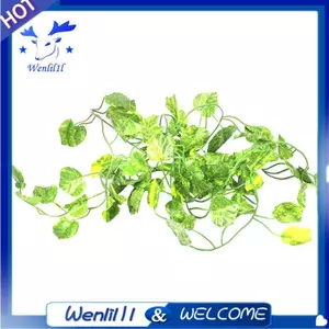 Cây nhân tạo dài 2M Lá thường xuân xanh Cây nho nhân tạo Cây nho giả Parthenocissus Lá lá lá trang trí tiệc cưới tại nhà, Begonia
