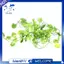 Cây nhân tạo dài 2M Lá thường xuân xanh Cây nho nhân tạo Cây nho giả Parthenocissus Lá lá lá trang trí tiệc cưới tại nhà, Begonia