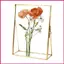 Khung Kính Đôi 4x6in Handmade Rõ Ràng Đơn Giản Nổi Khung Ảnh Cho Văn Phòng Tại Nhà Bàn Lưu Niệm Trưng Bày shopidaevn