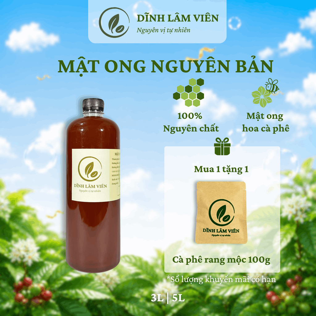 Mật ong hoa cà phê Gia Lai nguyên bản nguyên chất 3-5l | Dĩnh Lâm Viên