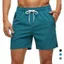Quần short chạy bộ BRAAA, Ice Silk Feel Dây rút Đóng cửa Quần short thể thao nam, Túi Zip dáng rộng vừa vặn Dây thắt lưng co giãn Khe bên Quần short thông thường Huấn luyện tập thể dục