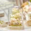 Phong Cách Hoa Nhài Bảo Quản Mẫu Đồ Trang Trí Vi Hạt Khối Xây Dựng Lắp Ráp Đồ Chơi Quà Tặng Ngày Lễ Tình Nhân 5.21