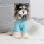 Top Pet Xuân Hè Lưới Thoáng Khí Mỏng Bốn Chân Quần Áo Chống Nắng