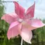 MỚI Xoay Hoa Nhiều Màu Sắc Cối Xay Gió Trẻ Em Pinwheels Đồ Chơi Ngoài Trời Đảng DIY Số Lượng Lớn Trang Trí Sân Vườn SKY