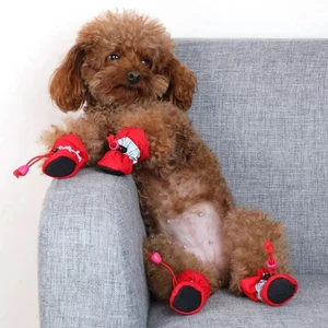 Giày Cho Chó Xuân Thu Phong Cách Đi Chơi Bichon Chó Teddy Giày Chó Không Thể Rơi Ngăn Ngừa Nhỏ Vừa Chó Bắt Chó Đế Mềm26060301