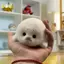 Dễ Thương Cho Bé Cói Búp Bê Sang Trọng Đồ Chơi Mặt Dây Chuyền Mô Phỏng Đại Dương Đồ Chơi Lưu Niệm Cói Mặt Dây Chuyền Quà Tặng Túi Búp Bê Mặt Dây Chuyền Đẹp