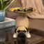 Khay đựng tượng Pug sáng tạo Khay đựng chìa khóa chó dễ thương Kẹo ốc sên Tấm lưu trữ Điêu khắc động vật Đồ trang trí văn phòng Trang trí để bàn [VN]