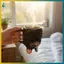 BVY Bat Upside Down Shaped Mug – Cốc cà phê hình dơi Gothic dễ thương 3D có đế có trọng lượng, Cốc động vật gốm sứ cho bàn làm việc.