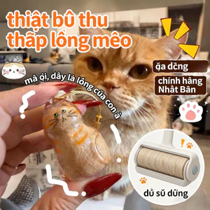 Trong Suốt Mèo Bảo Quản Tóc Hộp Bảo Quản Mặt Dây Chuyền Kỷ Niệm Viên Máy Thú Cưng Tóc Móc Khóa Treo Trang Trí