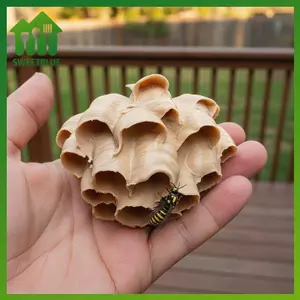 SWEET Thân thiện với môi trường Tổ ong giả treo ngoài trời Máy giặt Wasp để bảo vệ sân vườn n