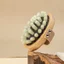 【New！】Tụ Ngọc Xiuyu răng túi khí massage bàn chải đầu vật lý trị liệu toàn thân kinh mạch khai thông xoa bóp bụng massage lược