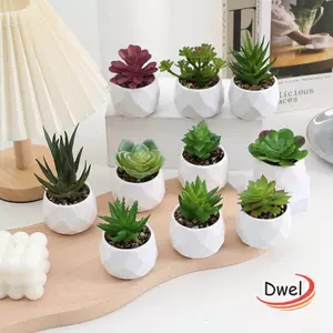 Cây cảnh mọng nước DWEL, Cây xương rồng xanh mọng nước nhân tạo, Mô phỏng cây giả bằng nhựa Cây trồng trong chậu nhỏ tại nhà