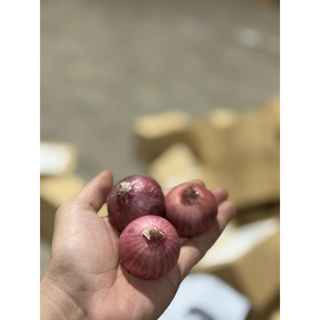 (BÁN CHẠY) TỎI CÔ ĐƠN Nhỏ KHÔ -1KG TẶNG 500G HÀNH TÍM